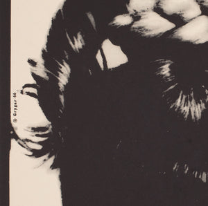 The Knack And How To Get It 1966 Czech A1 Film Poster, Grygar - detail