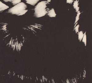 The Knack And How To Get It 1966 Czech A1 Film Poster, Grygar - detail