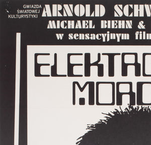 The Terminator 1987 B1 Polish Film Poster, Jakub Erol - detail