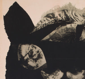 The Tiger Attacks/Le Fauve est Lache 1966 Czech A1 Film Movie Poster, Teissig - detail