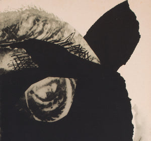 The Tiger Attacks/Le Fauve est Lache 1966 Czech A1 Film Movie Poster, Teissig - detail