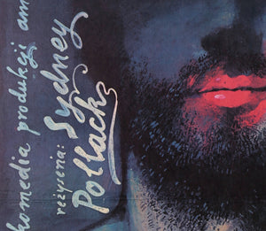 Tootsie 1984 Polish B1 Film Movie Poster, Walkuski - detail