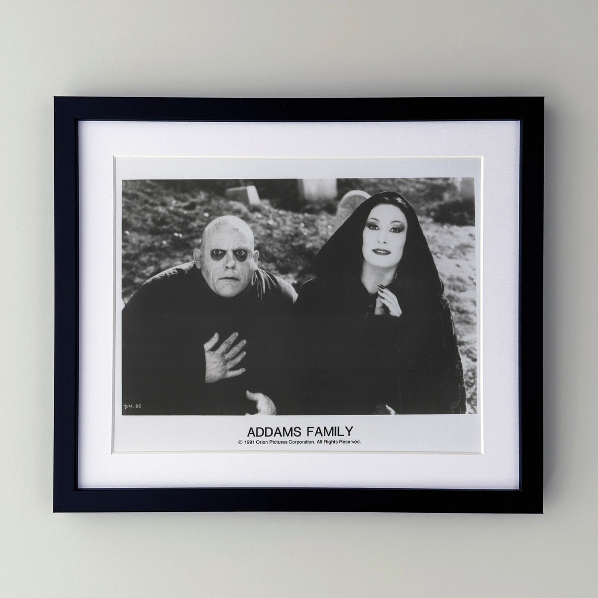 Addams Family 1991 Film Movie Press Publicity Still Framed