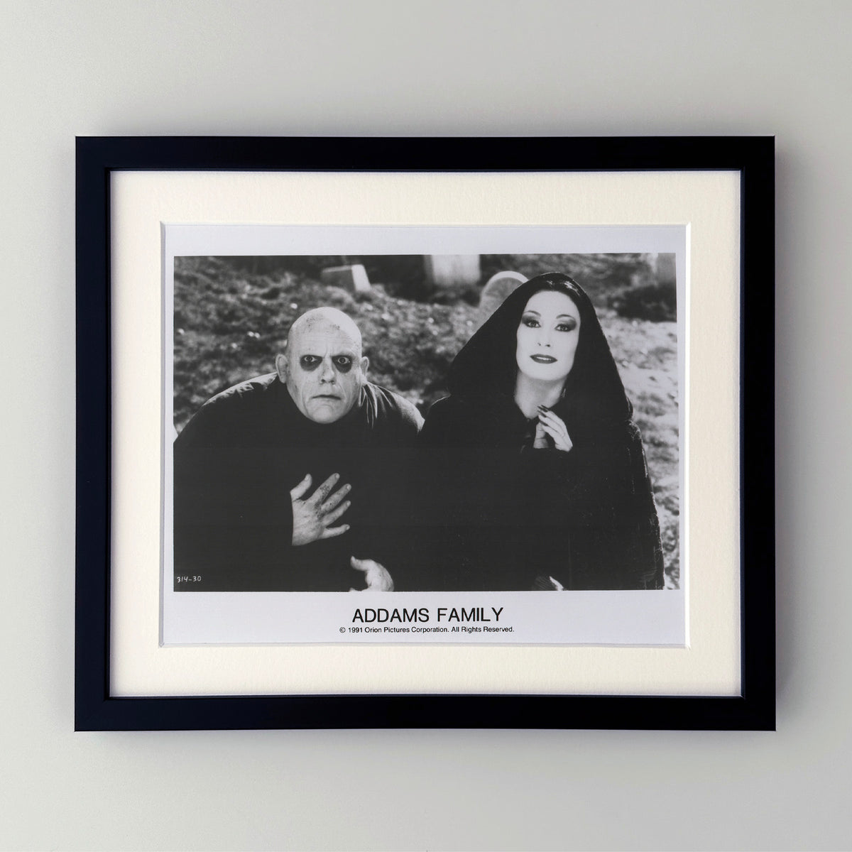 Addams Family 1991 Film Movie Press Publicity Still Framed