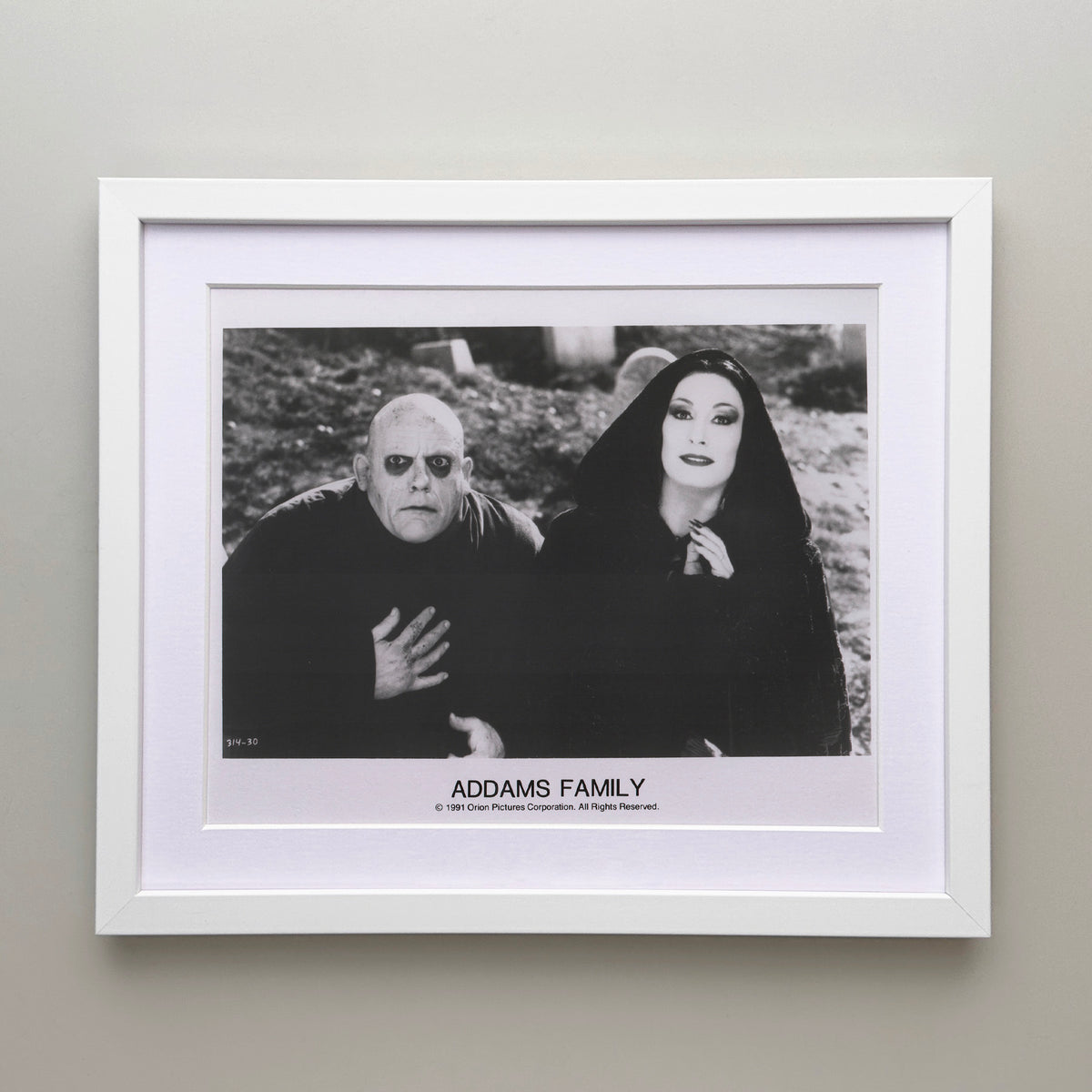 Addams Family 1991 Film Movie Press Publicity Still Framed