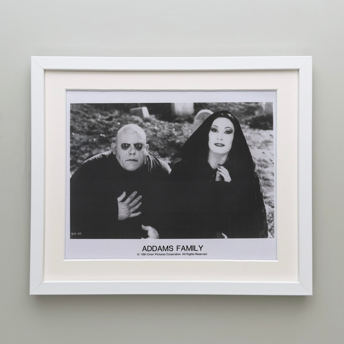 Addams Family 1991 Film Movie Press Publicity Still Framed