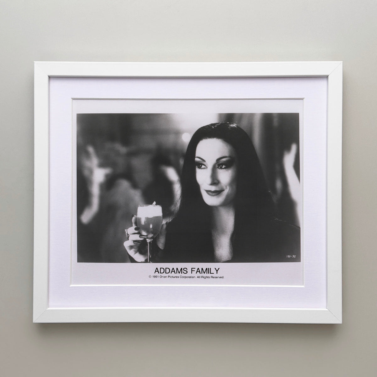 Addams Family 1991 Film Movie Press Publicity Still Framed