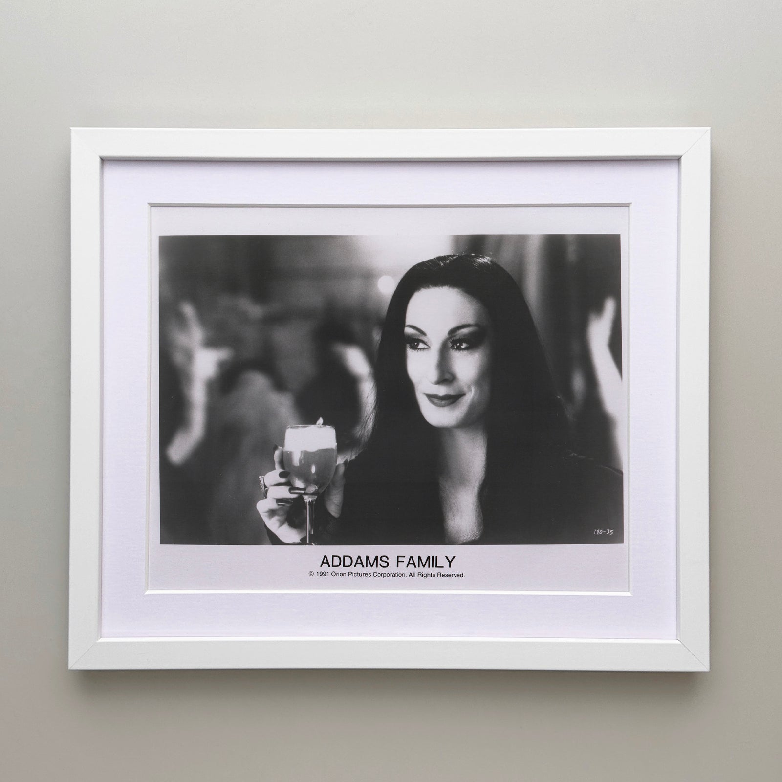 Addams Family 1991 Film Movie Press Publicity Still Framed