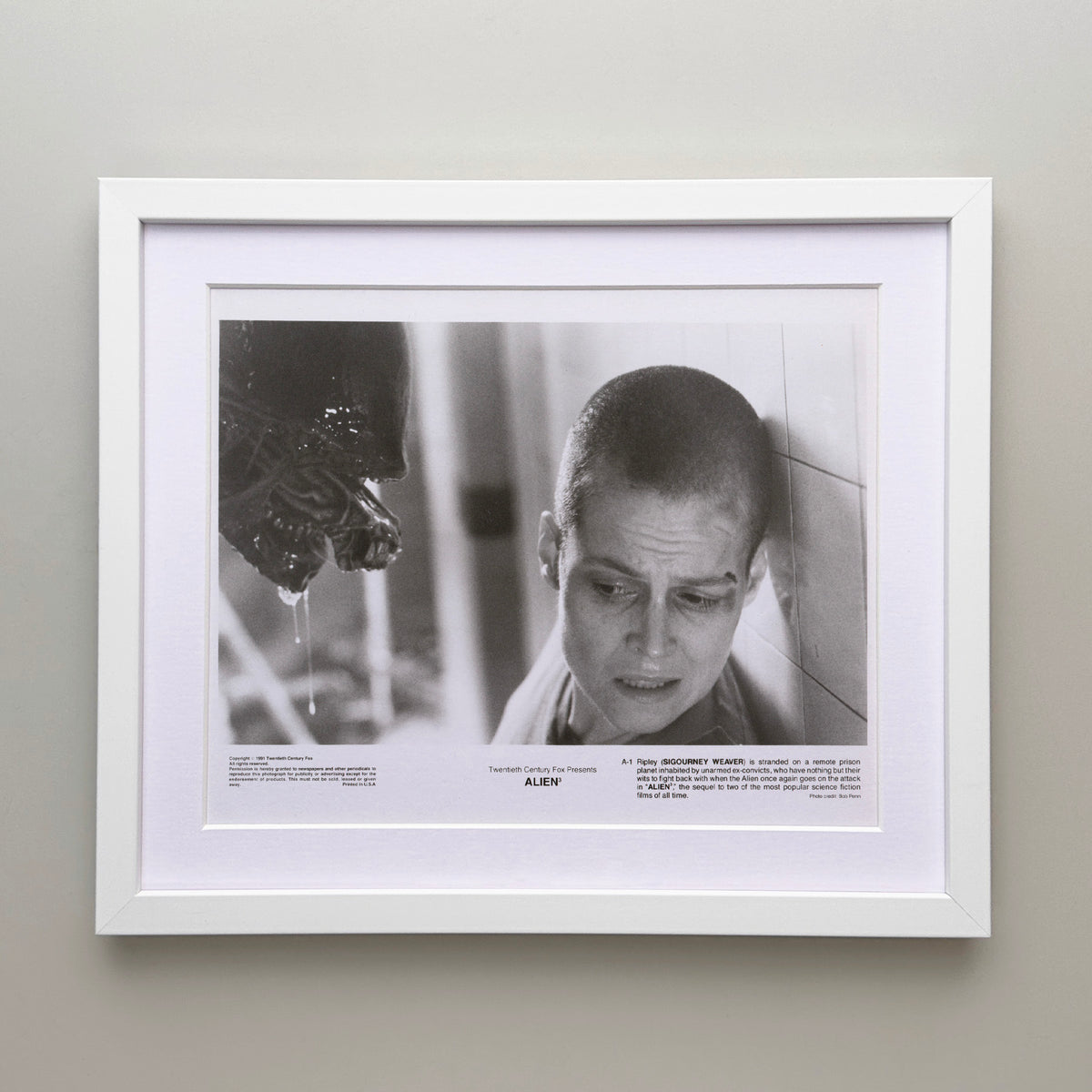 Alien 3 1992 Press Publicity Still - Framed