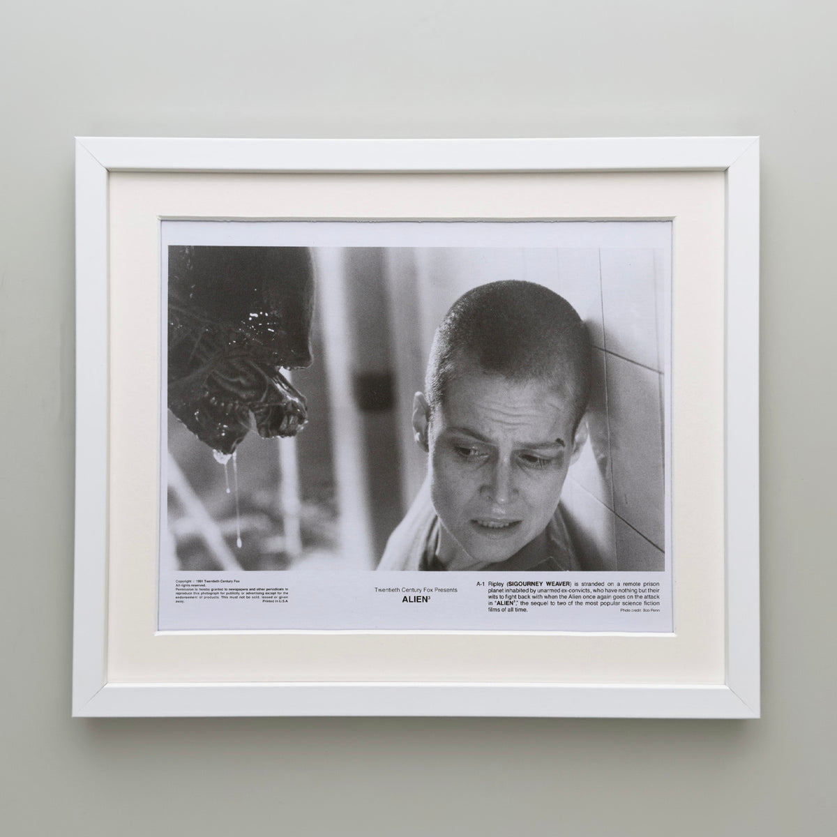 Alien 3 1992 Press Publicity Still - Framed