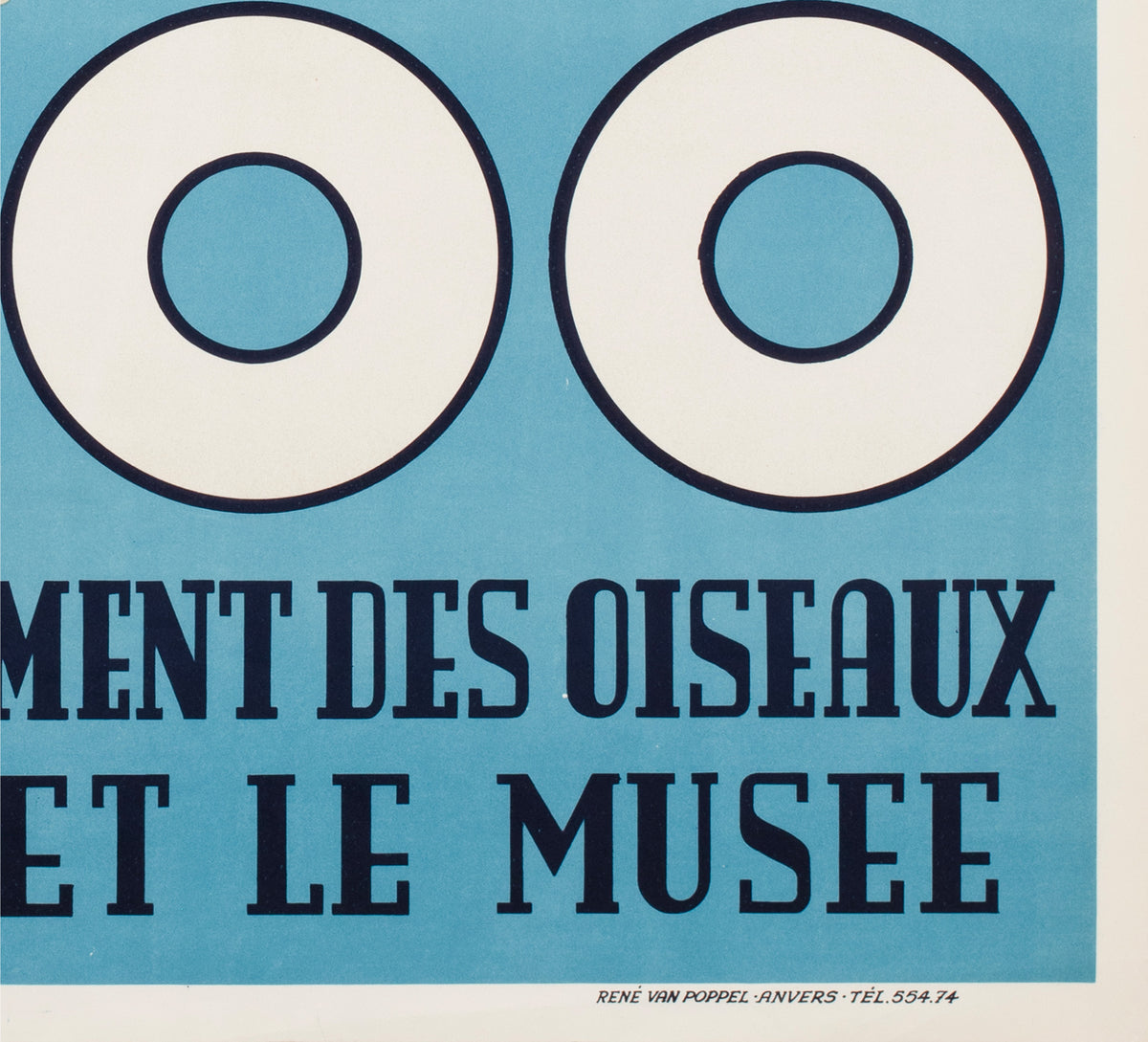 Antwerp Zoo Polar Bear 1950  Large Advertising Poster - detail