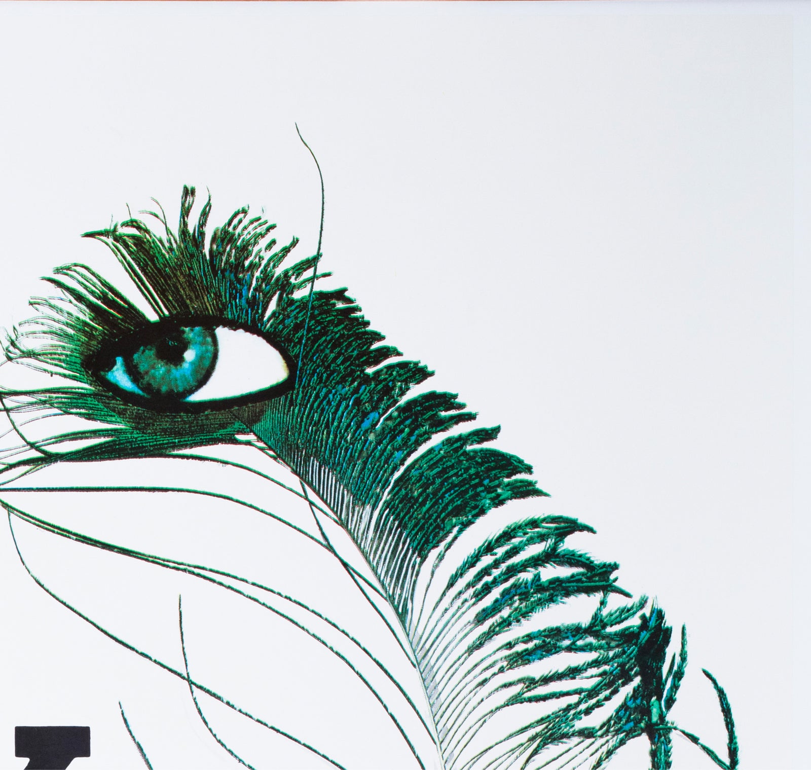 Bally Plume c1980 Shoe Advertising Poster Roger Bezombes - detail