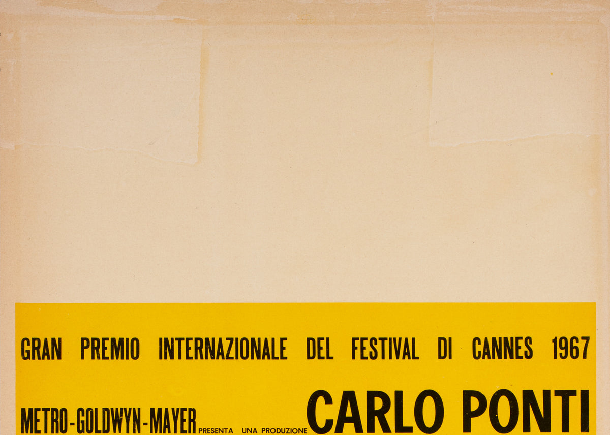 Blow-up 1967 Italian Locandina Yellow Style Film Movie Poster - detail