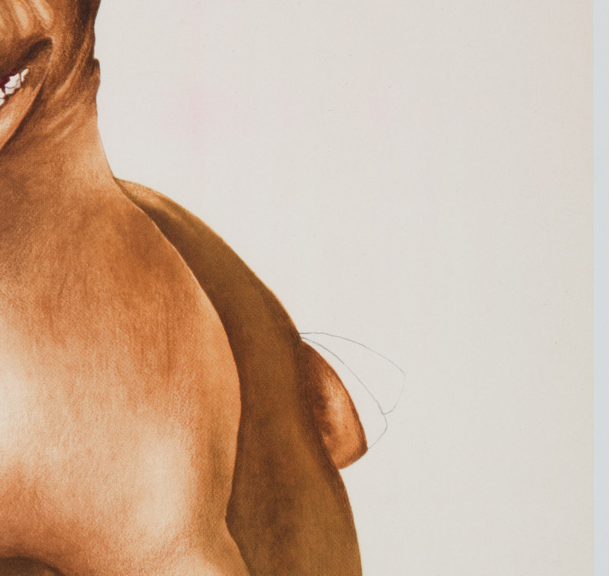 Cyrk Football Dog 1973 Polish Circus Poster, Danuta Zukowsaka - detail