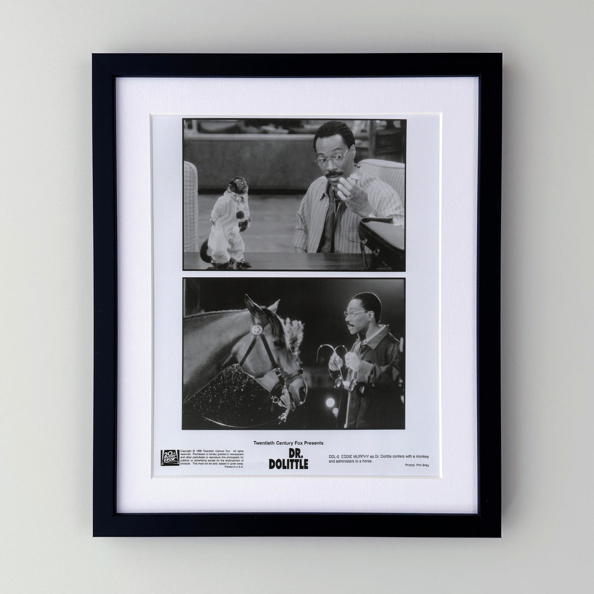 Doctor Dolittle 1998 Film Movie Press Publicity Still Framed
