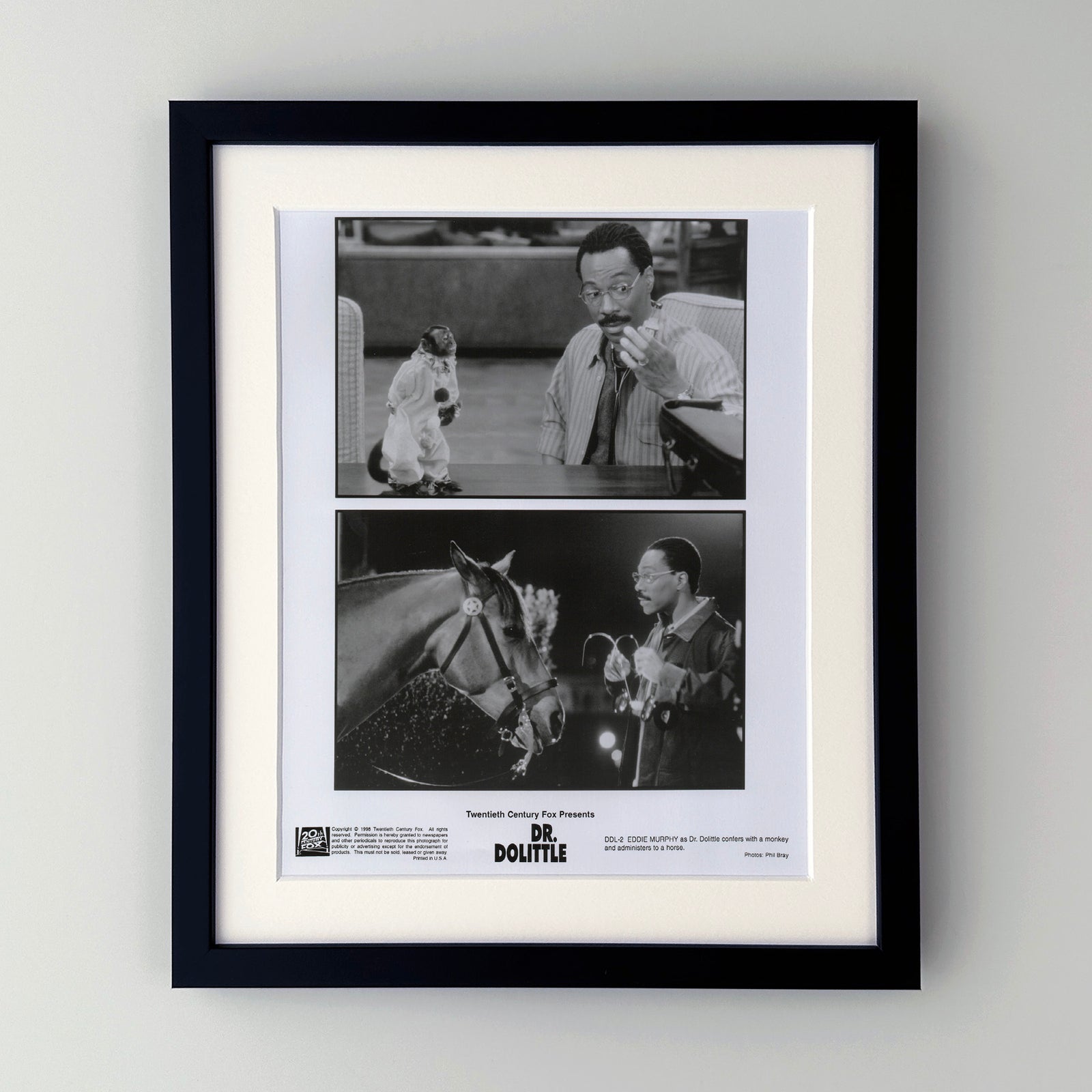 Doctor Dolittle 1998 Film Movie Press Publicity Still Framed