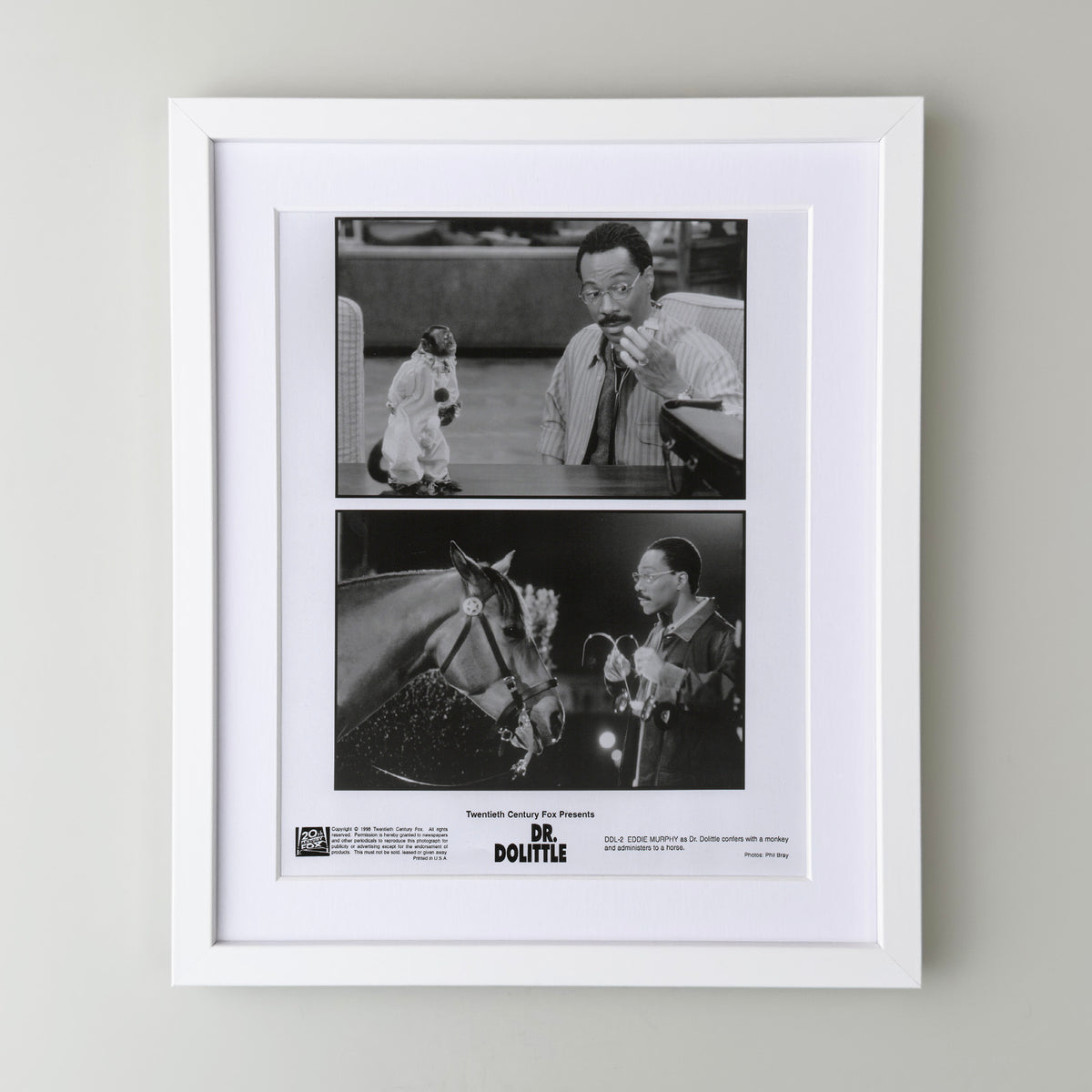Doctor Dolittle 1998 Film Movie Press Publicity Still Framed