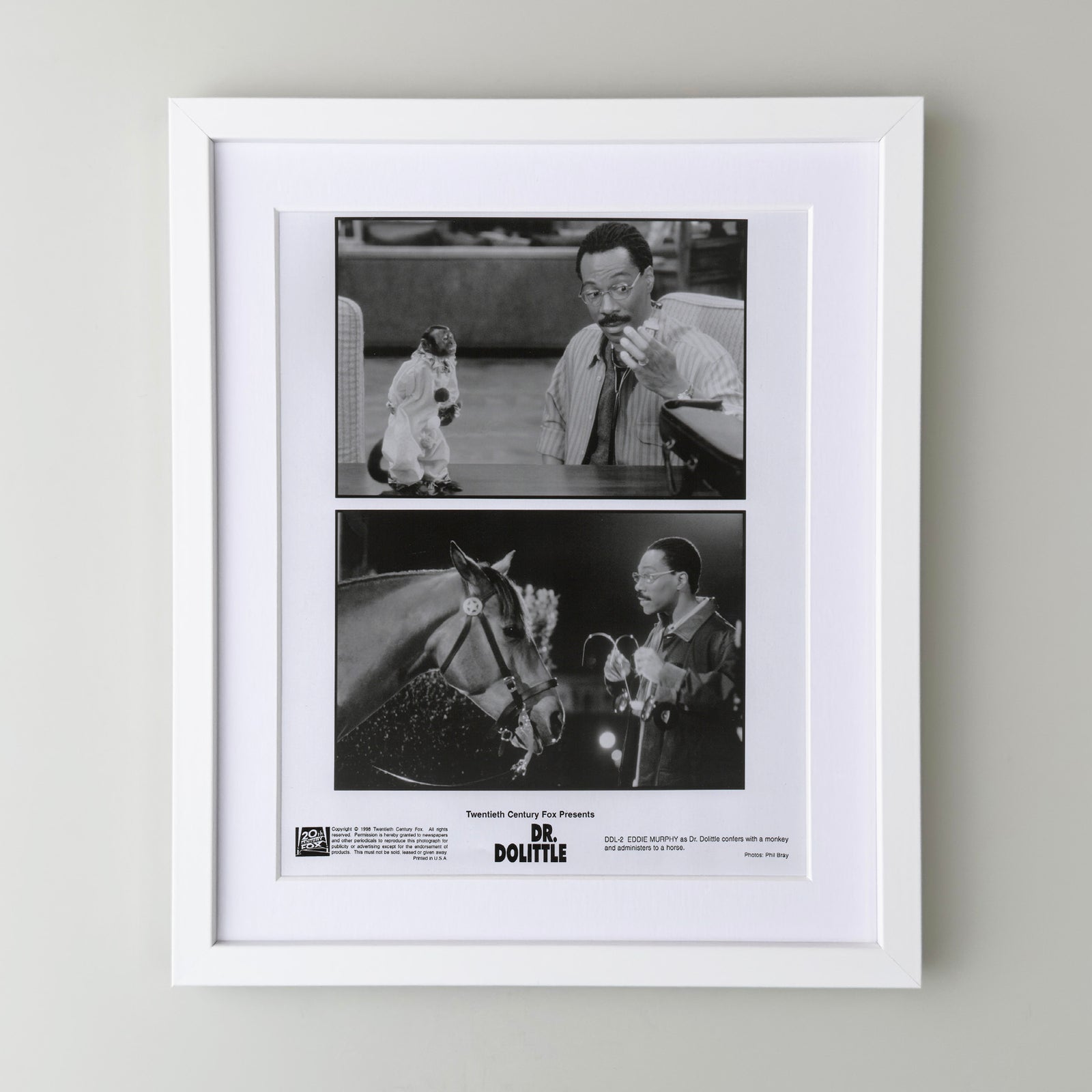 Doctor Dolittle 1998 Film Movie Press Publicity Still Framed