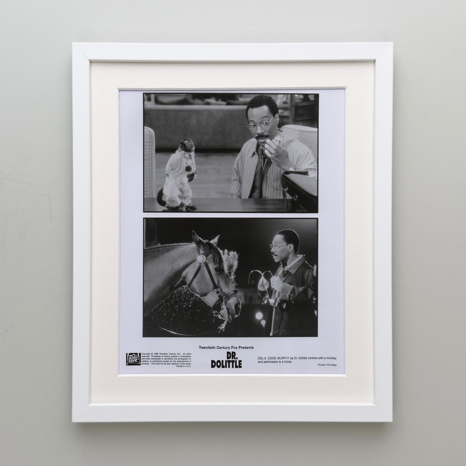 Doctor Dolittle 1998 Film Movie Press Publicity Still Framed
