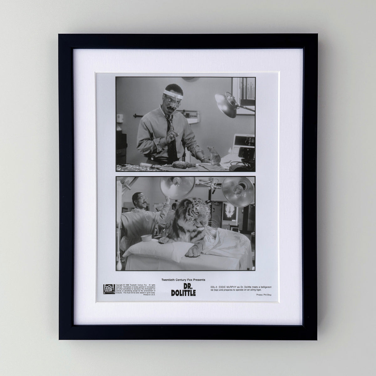 Doctor Dolittle 1998 Film Movie Press Publicity Still Framed