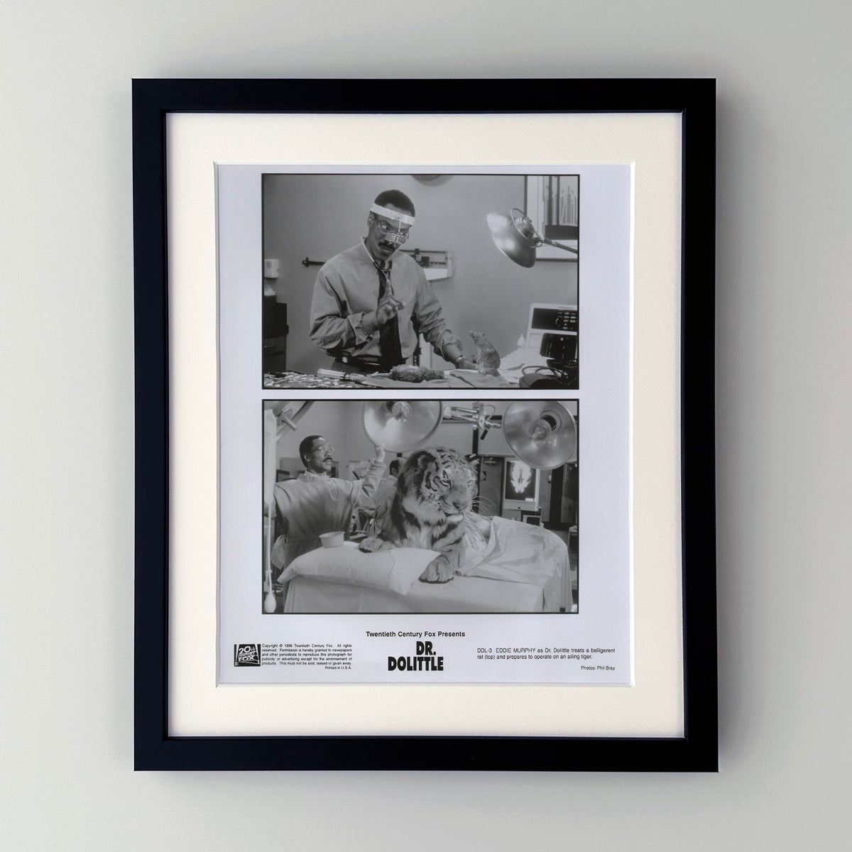 Doctor Dolittle 1998 Film Movie Press Publicity Still Framed
