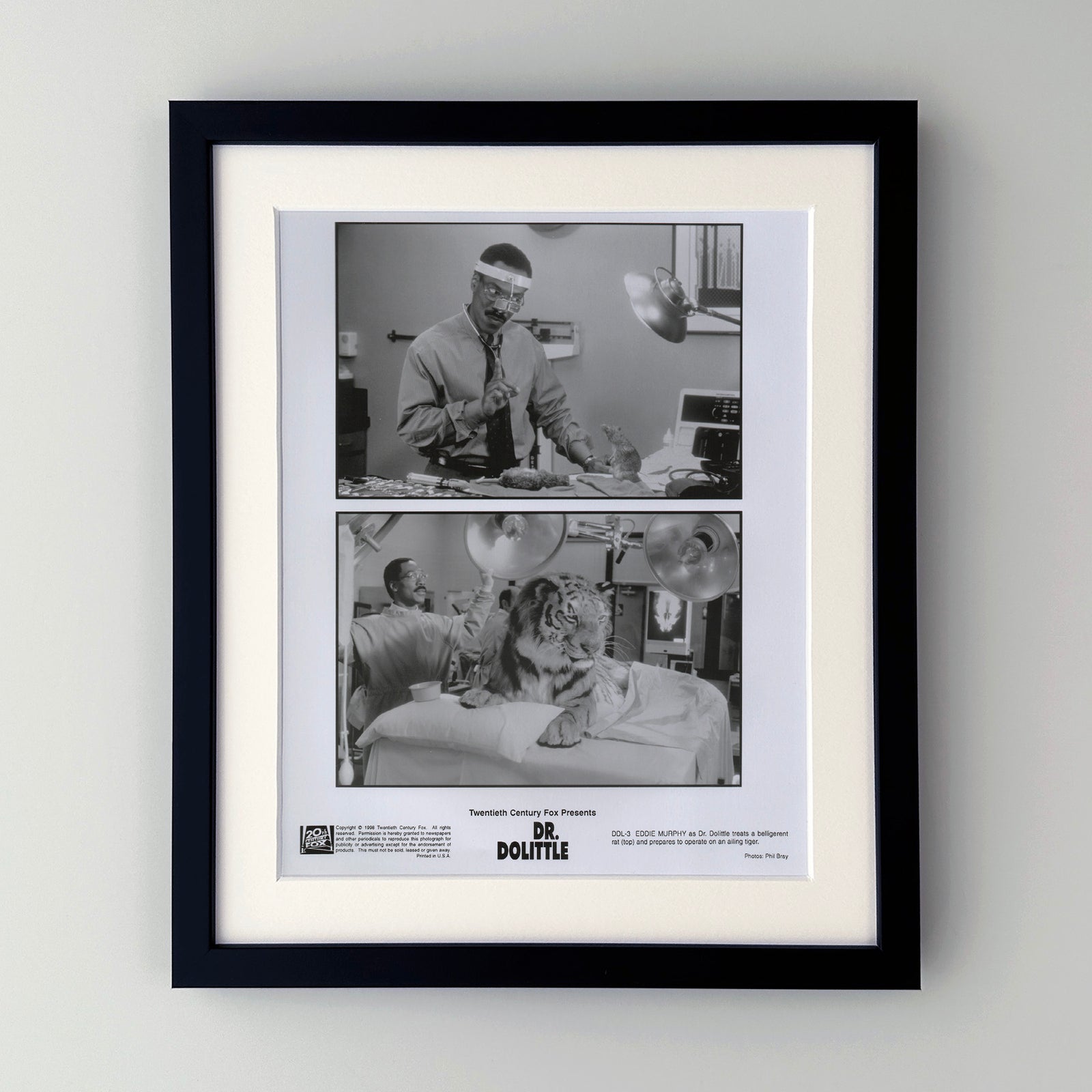 Doctor Dolittle 1998 Film Movie Press Publicity Still Framed
