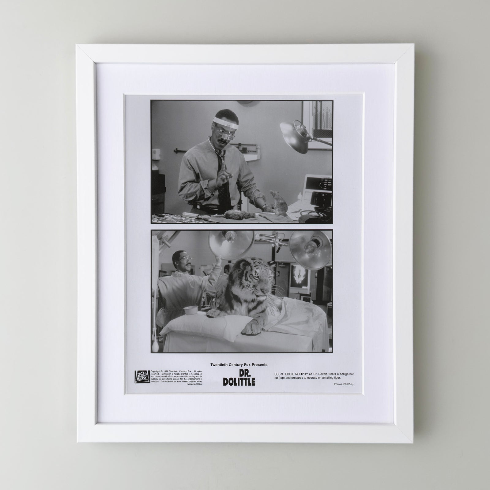 Doctor Dolittle 1998 Film Movie Press Publicity Still Framed