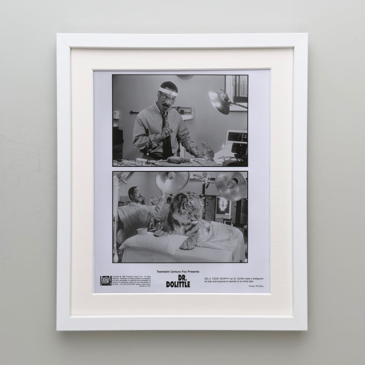Doctor Dolittle 1998 Film Movie Press Publicity Still Framed