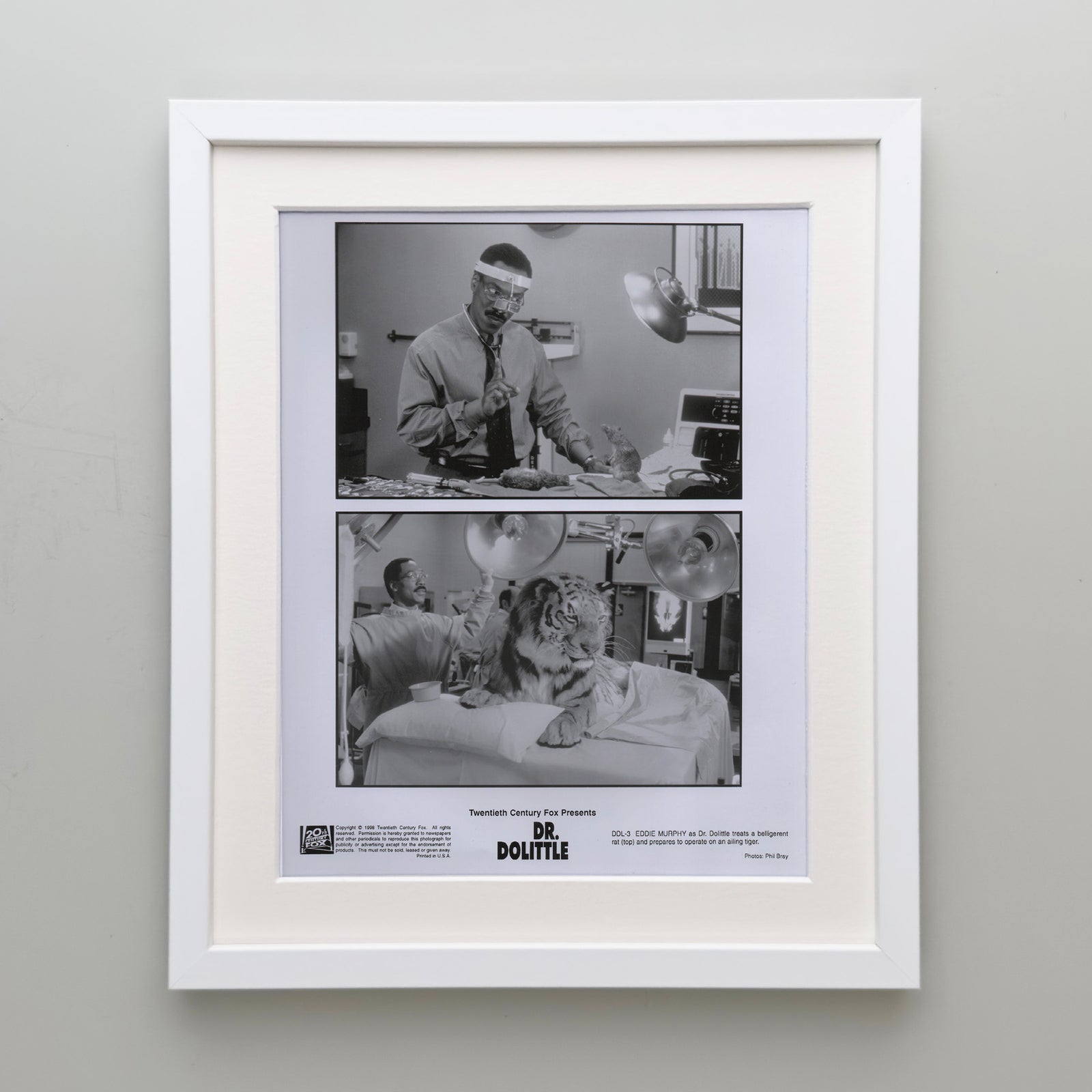 Doctor Dolittle 1998 Film Movie Press Publicity Still Framed