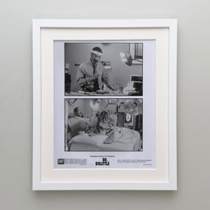 Doctor Dolittle 1998 Film Movie Press Publicity Still Framed