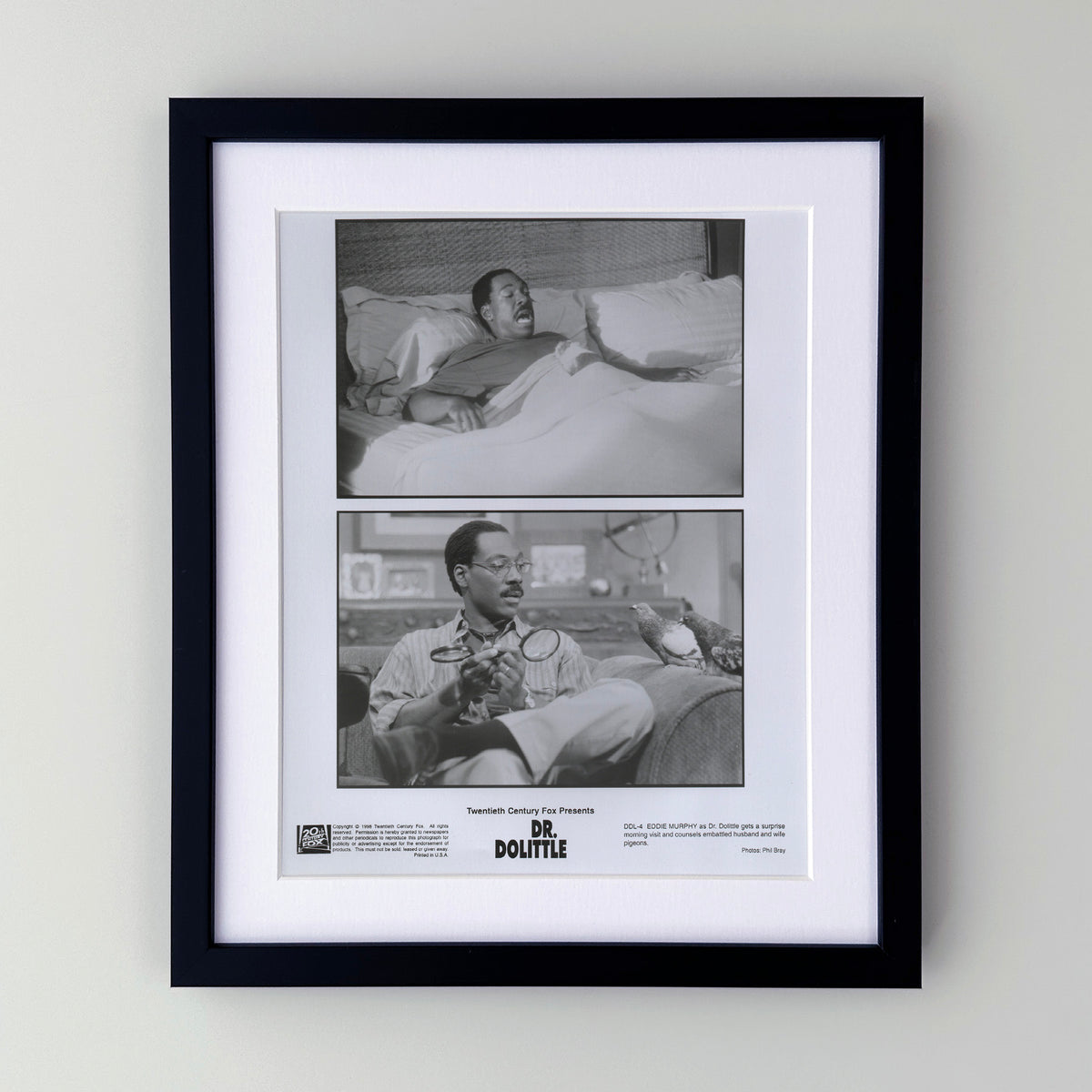 Doctor Dolittle 1998 Film Movie Press Publicity Still Framed