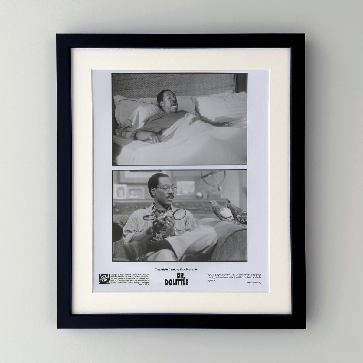 Doctor Dolittle 1998 Film Movie Press Publicity Still Framed