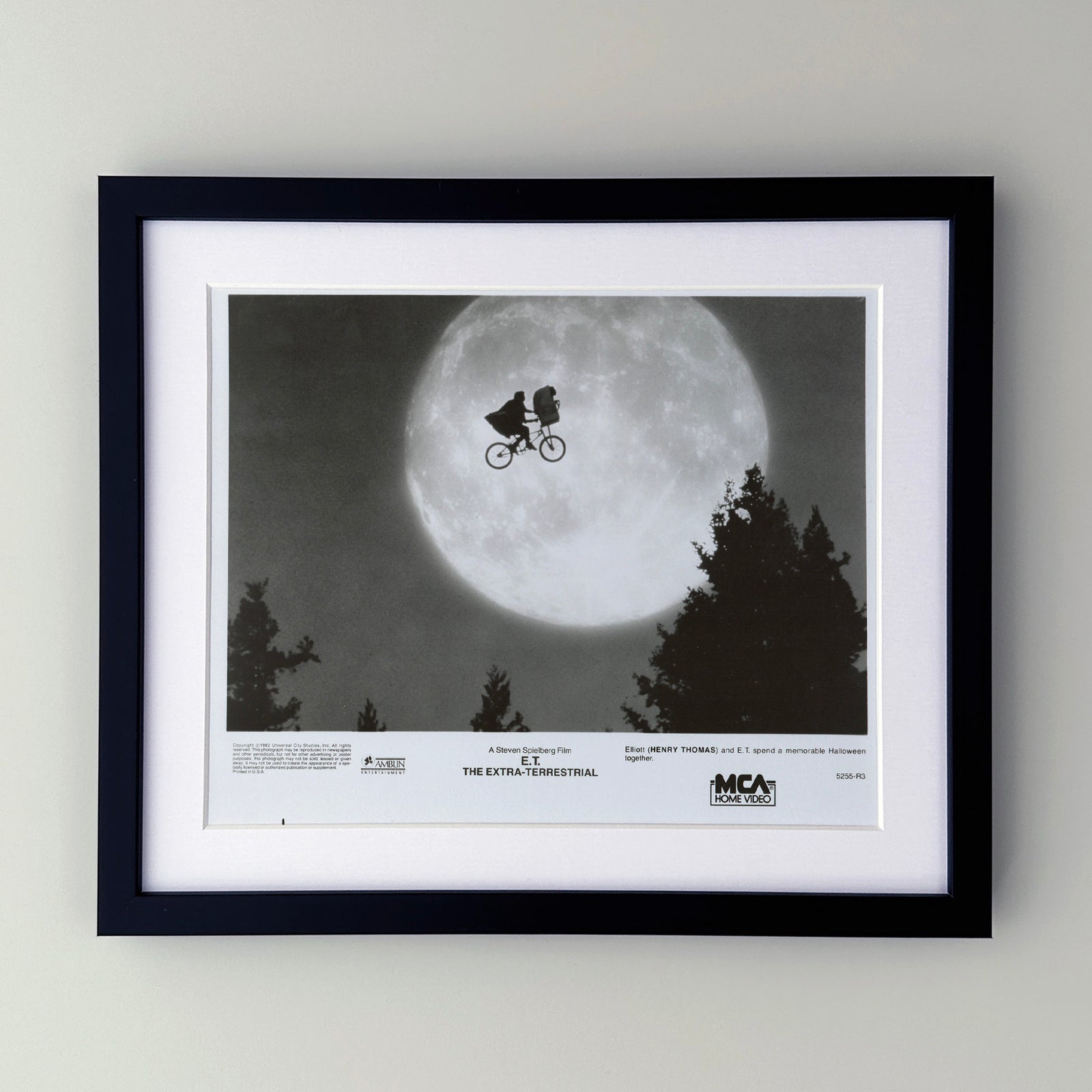 ET The Extra Terrestrial 1982 Film Movie Press Publicity Still Framed