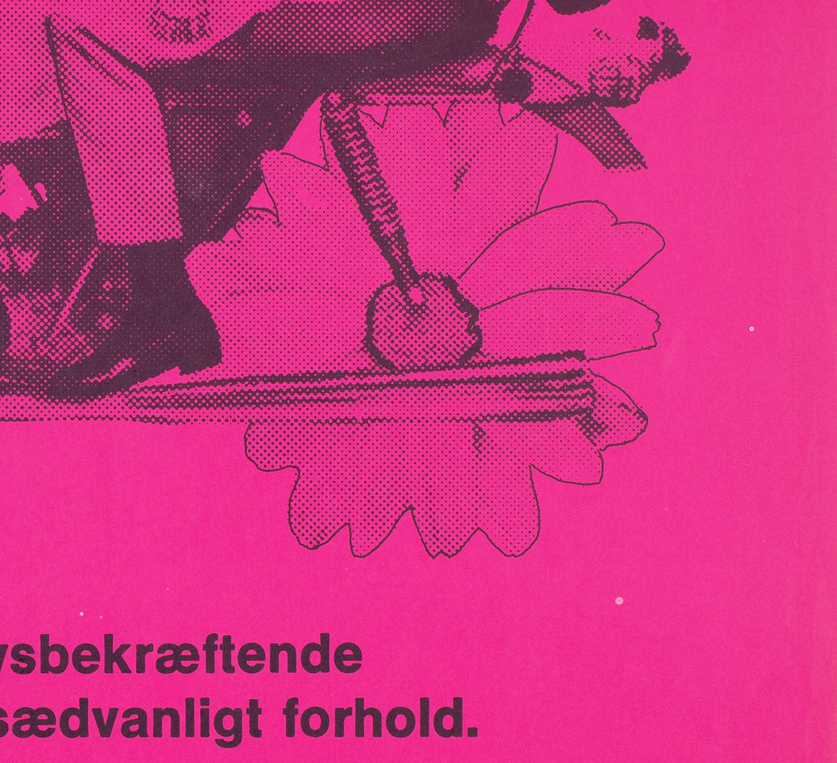 Harold and Maude 1971 Danish A1 Film Movie Poster - detail