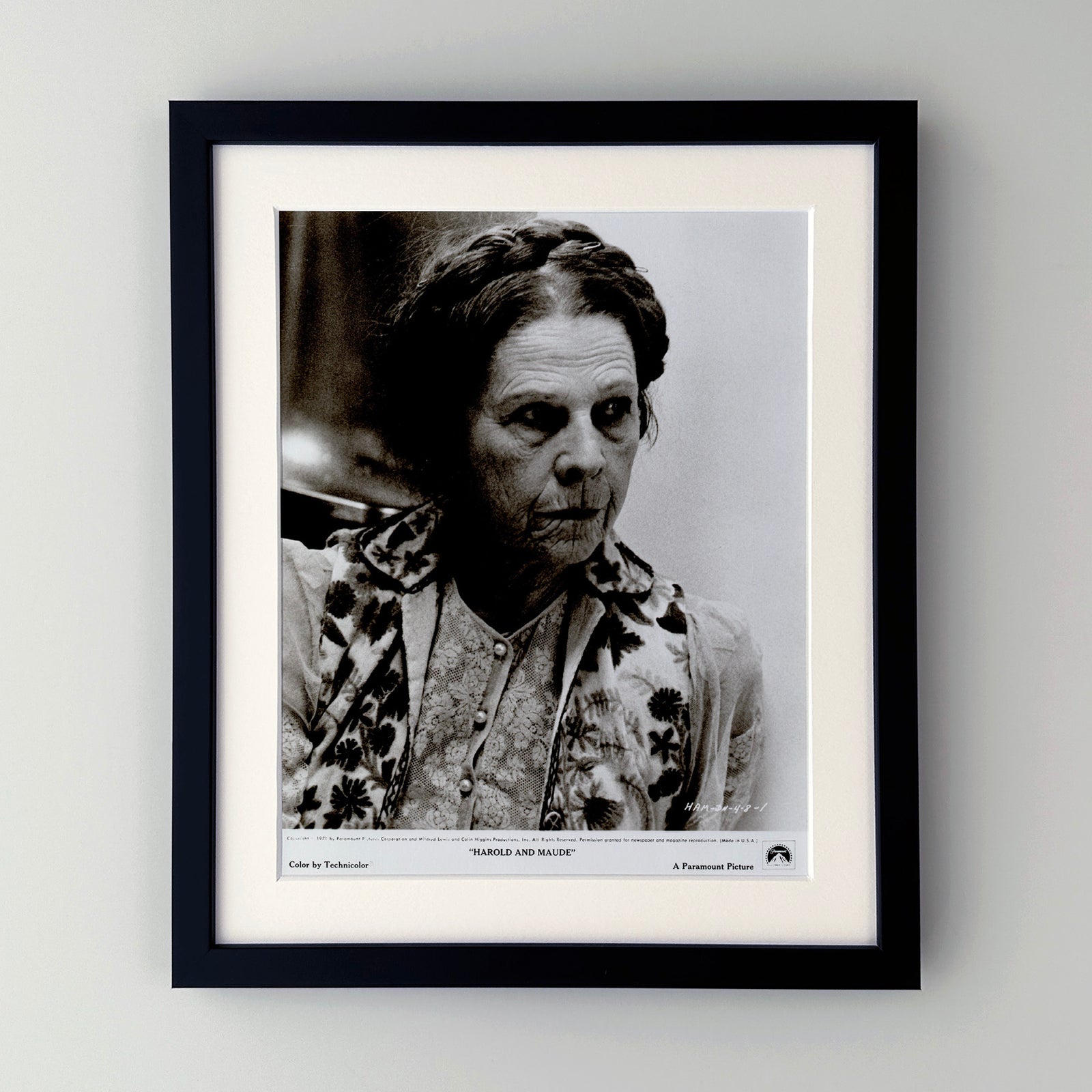 Harold and Maude 1971 Film Movie Press Publicity Still Framed