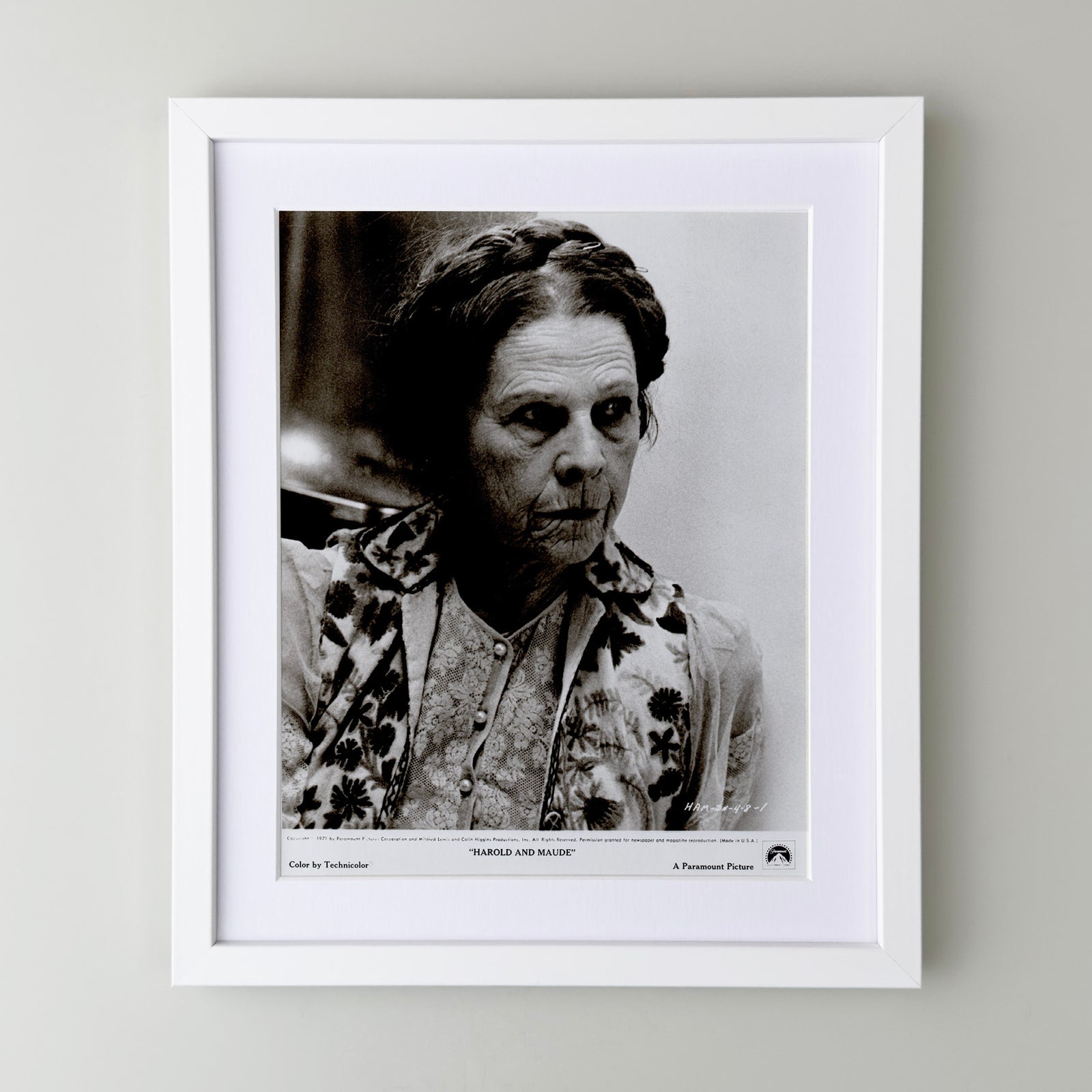 Harold and Maude 1971 Film Movie Press Publicity Still Framed