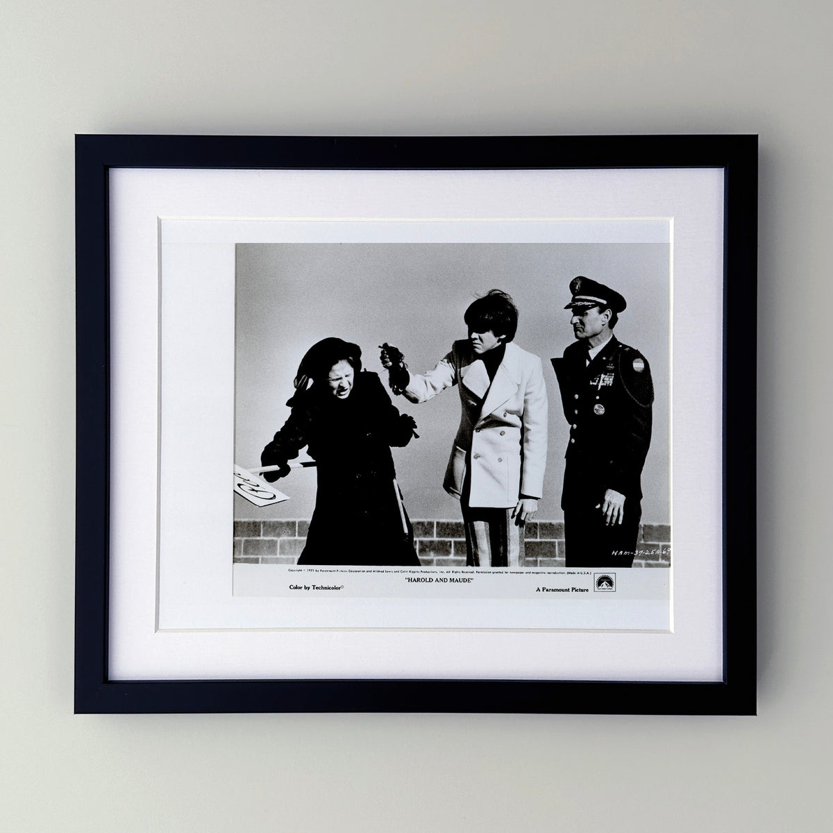 Harold and Maude 1971 Film Movie Press Publicity Still Framed