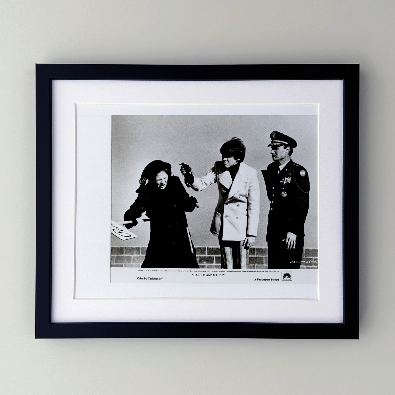 Harold and Maude 1971 Film Movie Press Publicity Still Framed