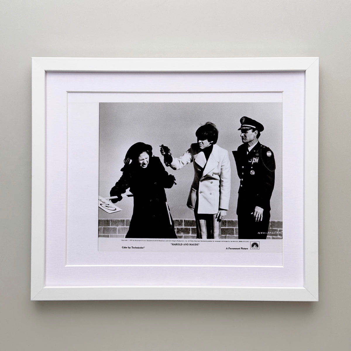 Harold and Maude 1971 Film Movie Press Publicity Still Framed