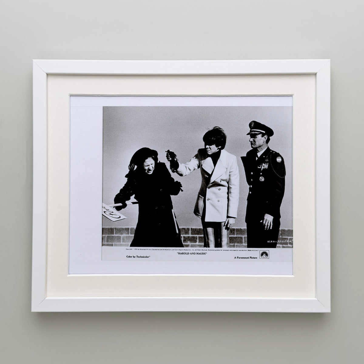 Harold and Maude 1971 Film Movie Press Publicity Still Framed