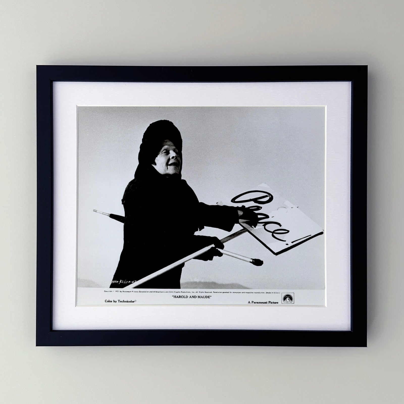 Harold and Maude 1971 Film Movie Press Publicity Still Framed