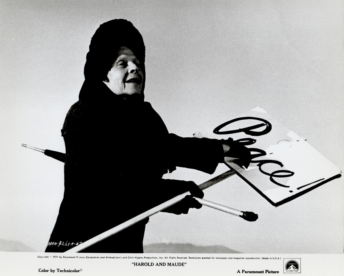 Harold and Maude 1971 Film Movie Press Publicity Still Framed