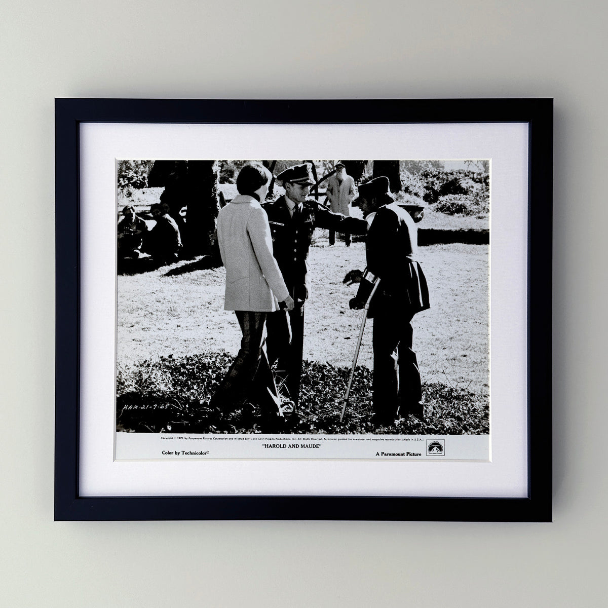 Harold and Maude 1971 Film Movie Press Publicity Still Framed