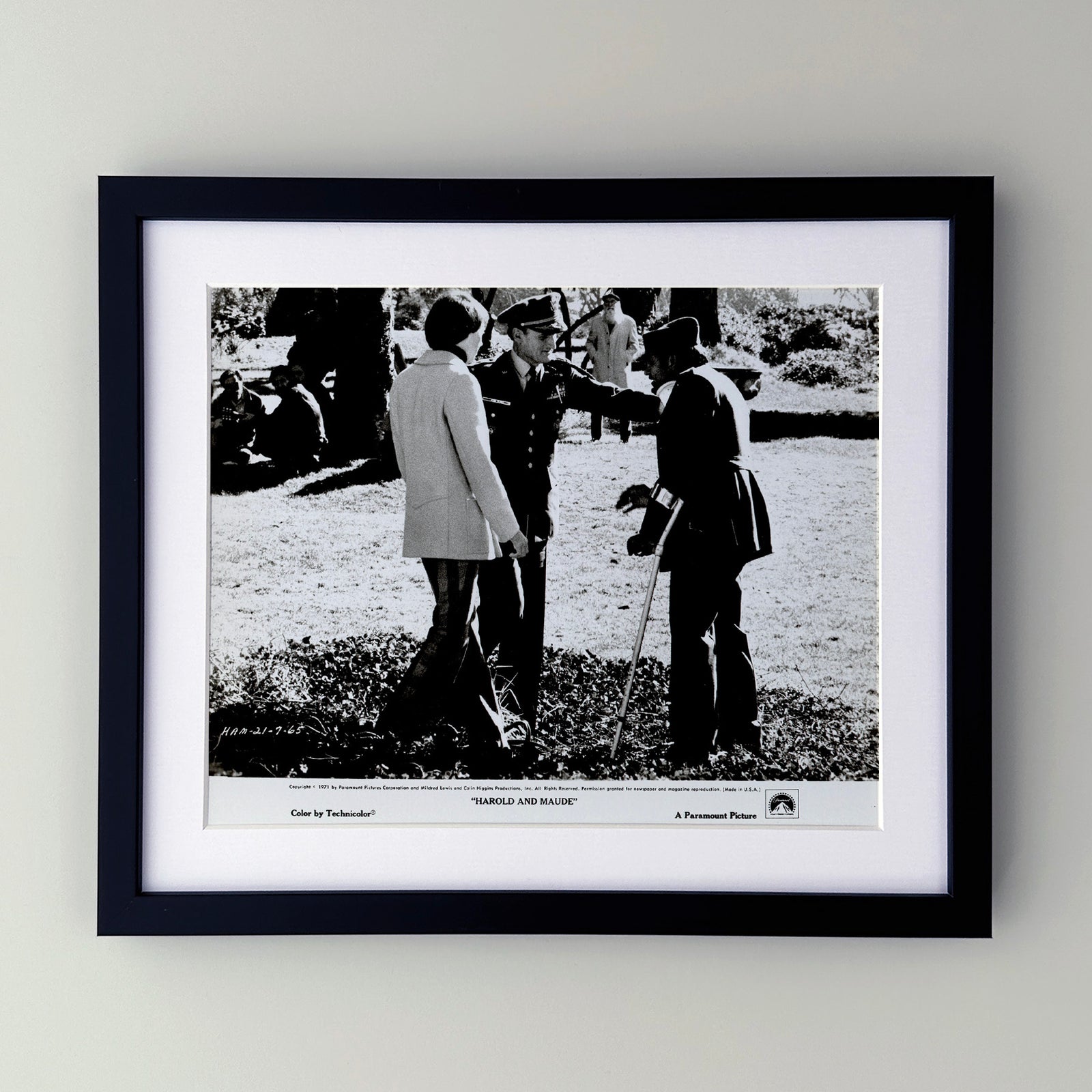 Harold and Maude 1971 Film Movie Press Publicity Still Framed