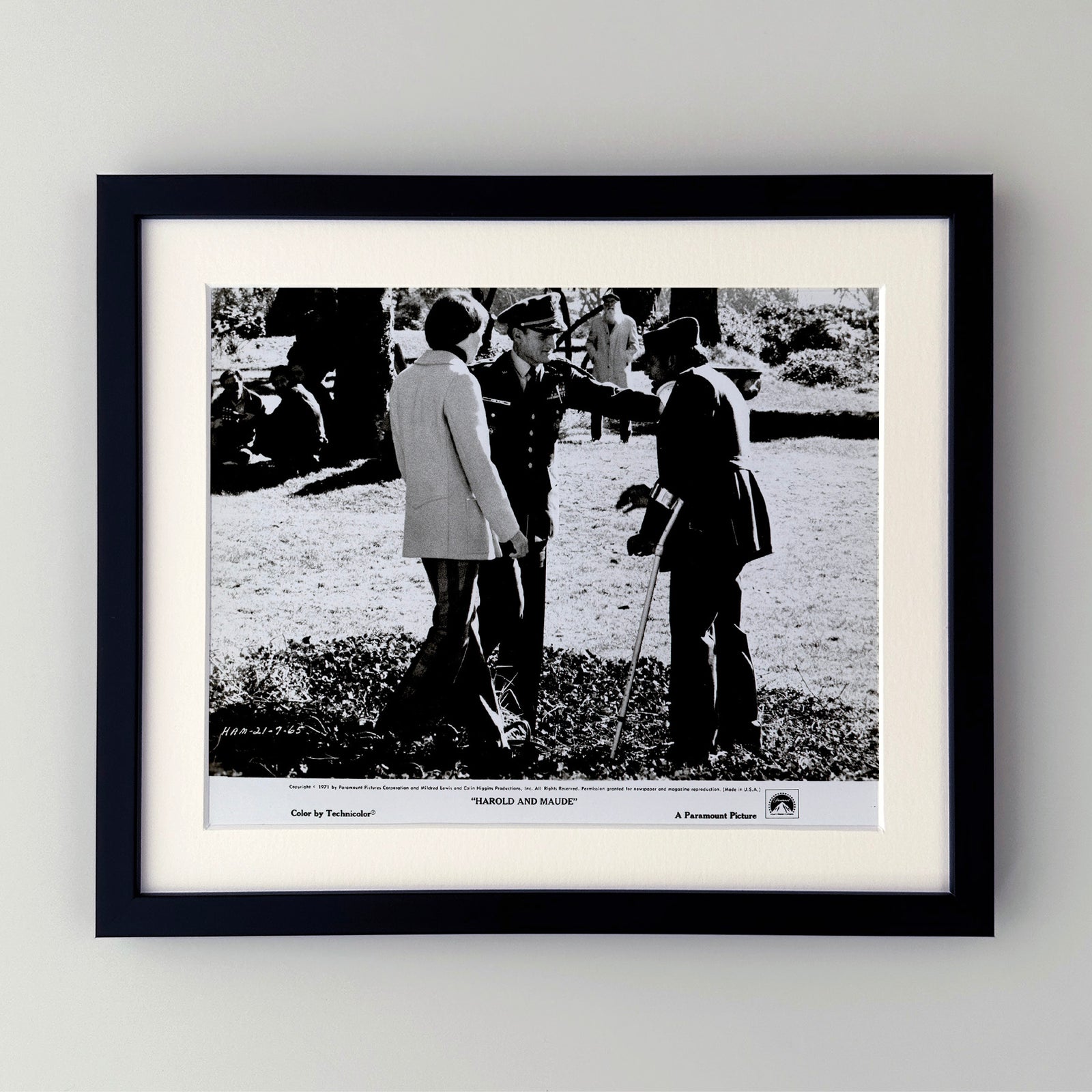 Harold and Maude 1971 Film Movie Press Publicity Still Framed