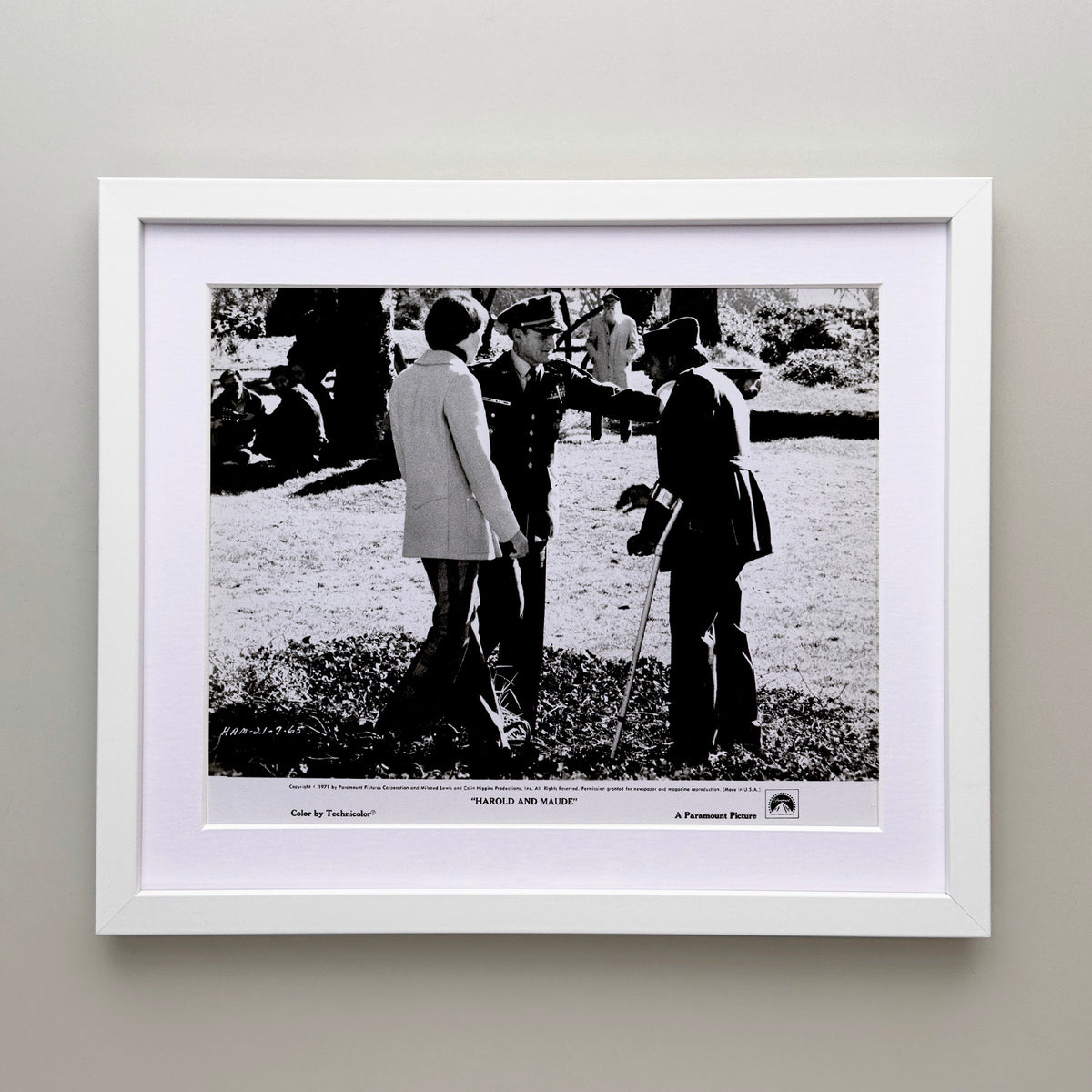 Harold and Maude 1971 Film Movie Press Publicity Still Framed