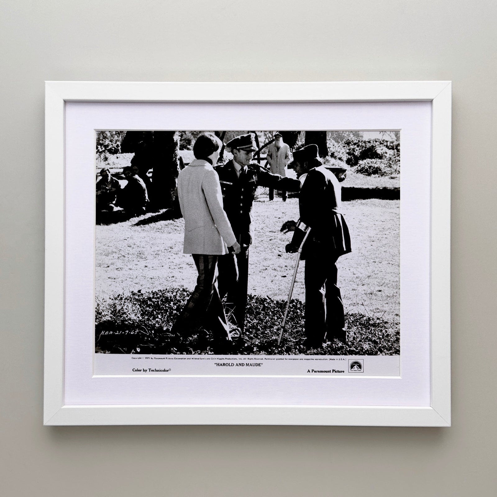 Harold and Maude 1971 Film Movie Press Publicity Still Framed