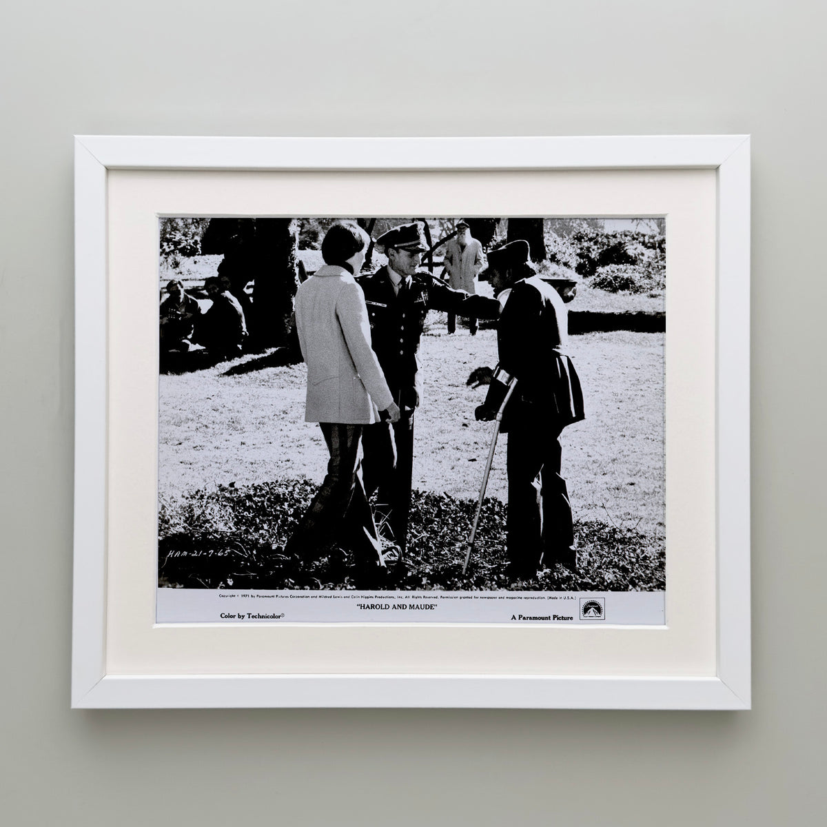 Harold and Maude 1971 Film Movie Press Publicity Still Framed
