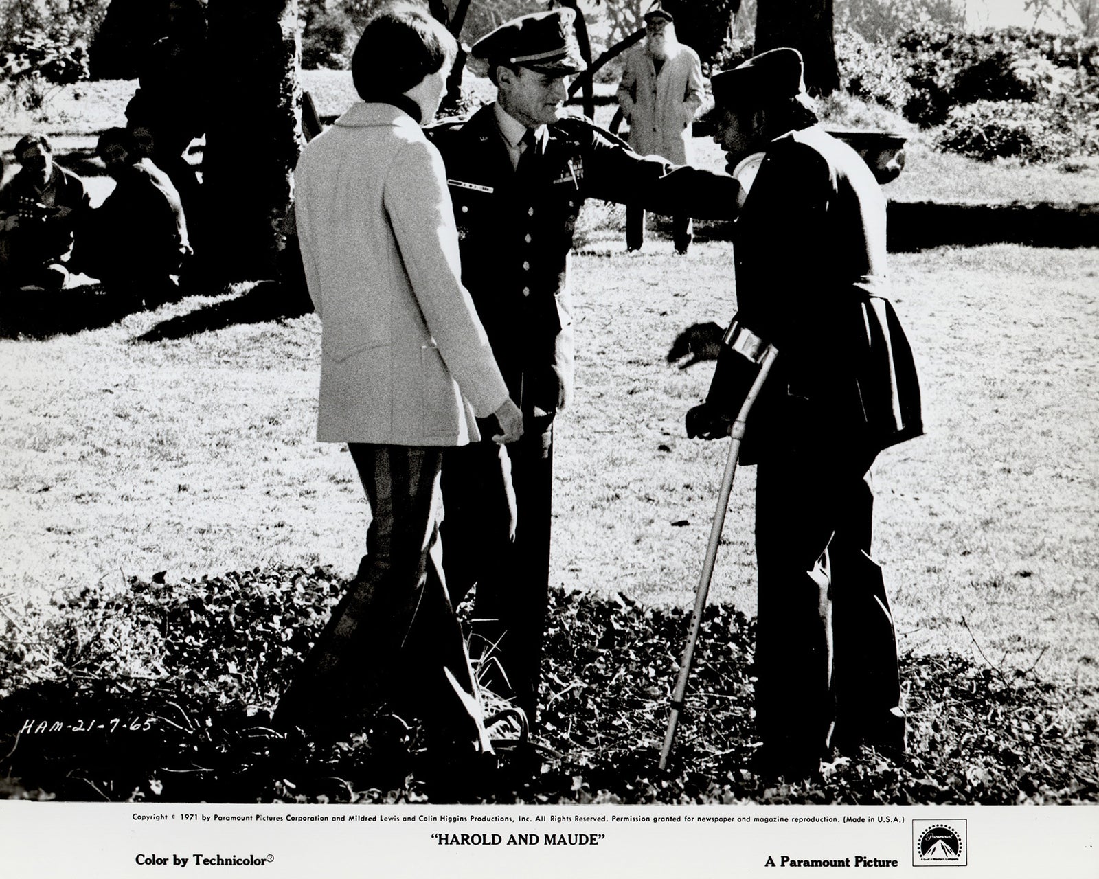 Harold and Maude 1971 Film Movie Press Publicity Still Framed