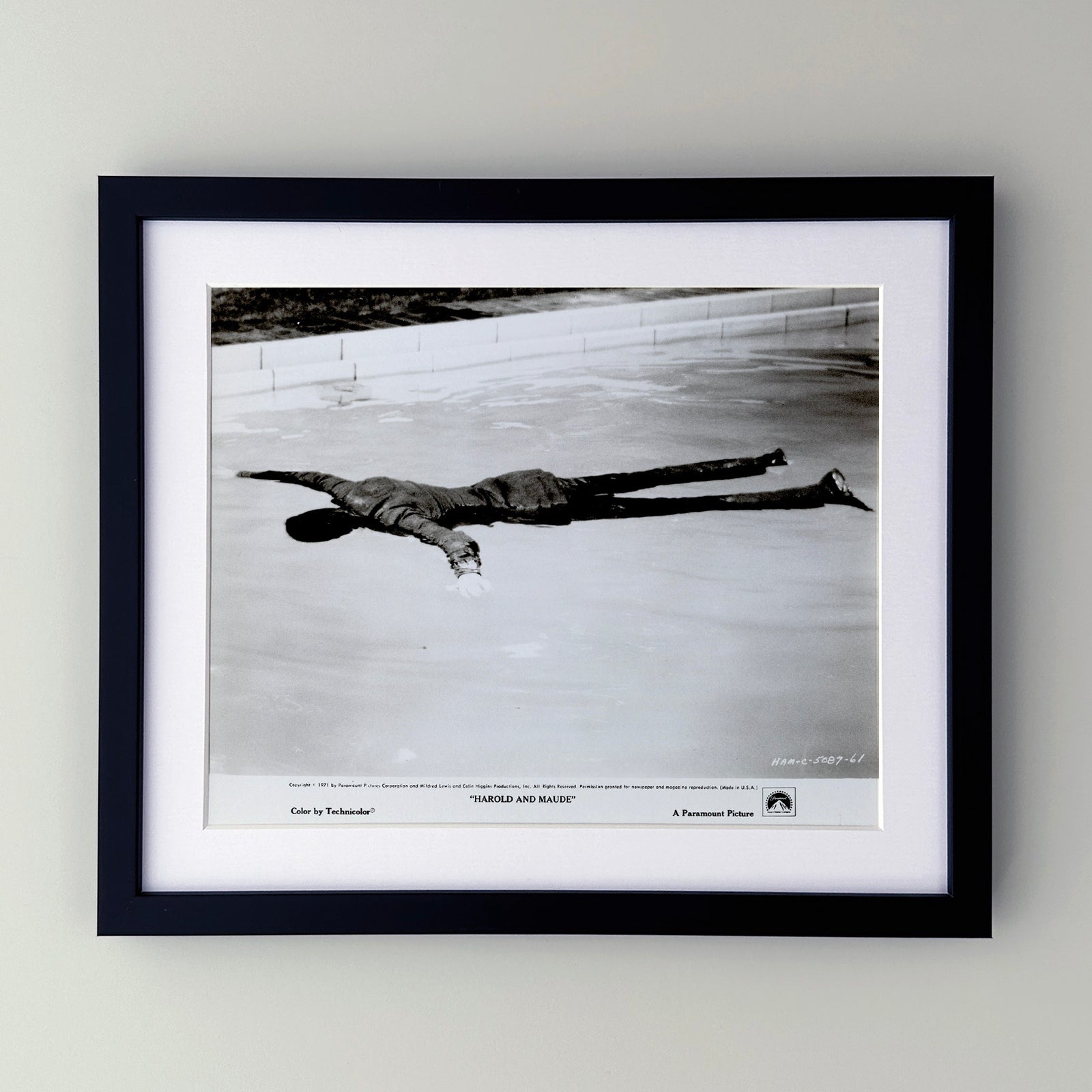 Harold and Maude 1971 Film Movie Press Publicity Still Framed